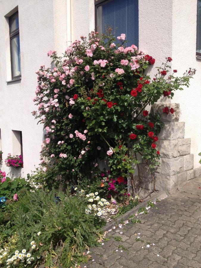 Sonneck Lägenhet Bad Sachsa Exteriör bild